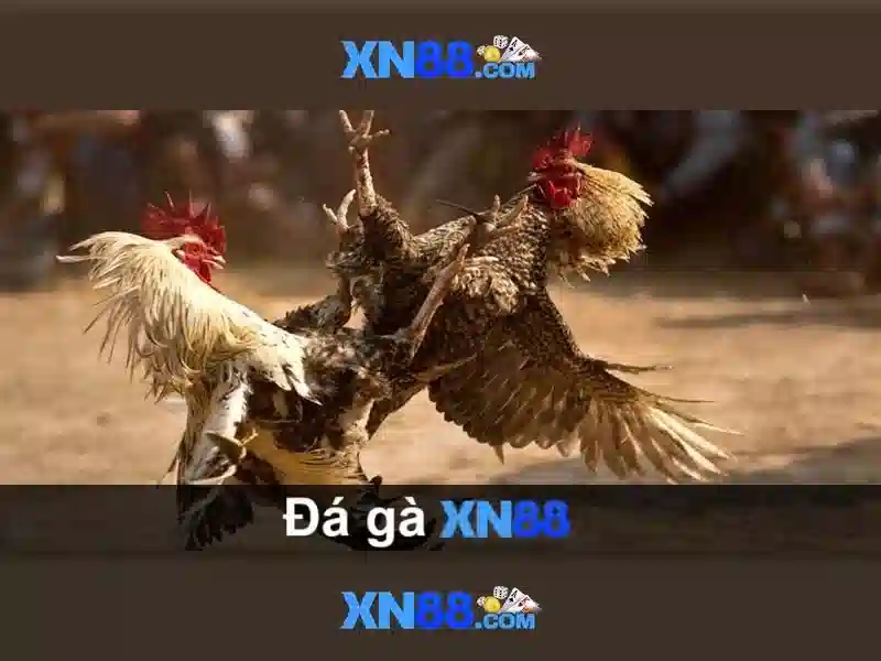 💎sunrise slots no deposit free spins💎 💎sunrise slots no deposit free spins💎