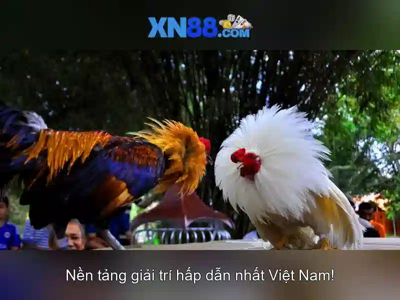 💎voiture xn88💎 💎voiture xn88💎