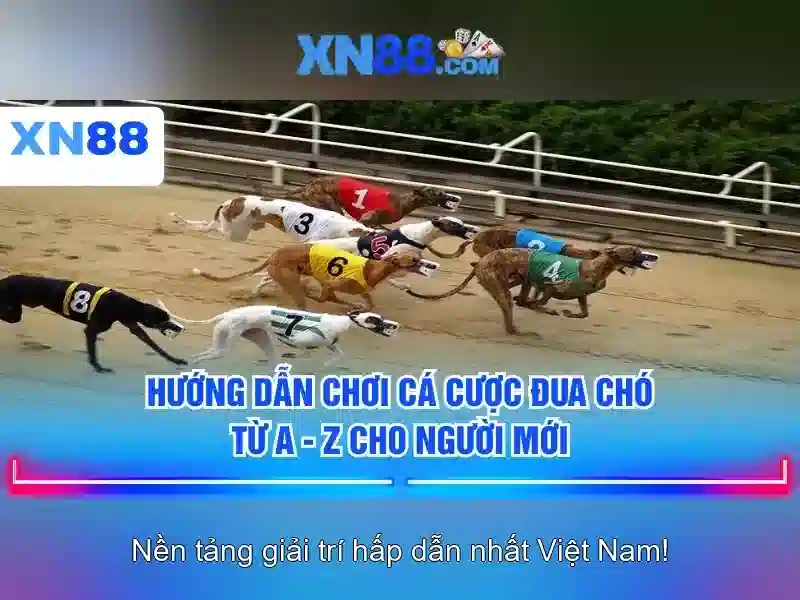 💎cách đánh gió bằng trứng và vòng bạc💎 💎cách đánh gió bằng trứng và vòng bạc💎