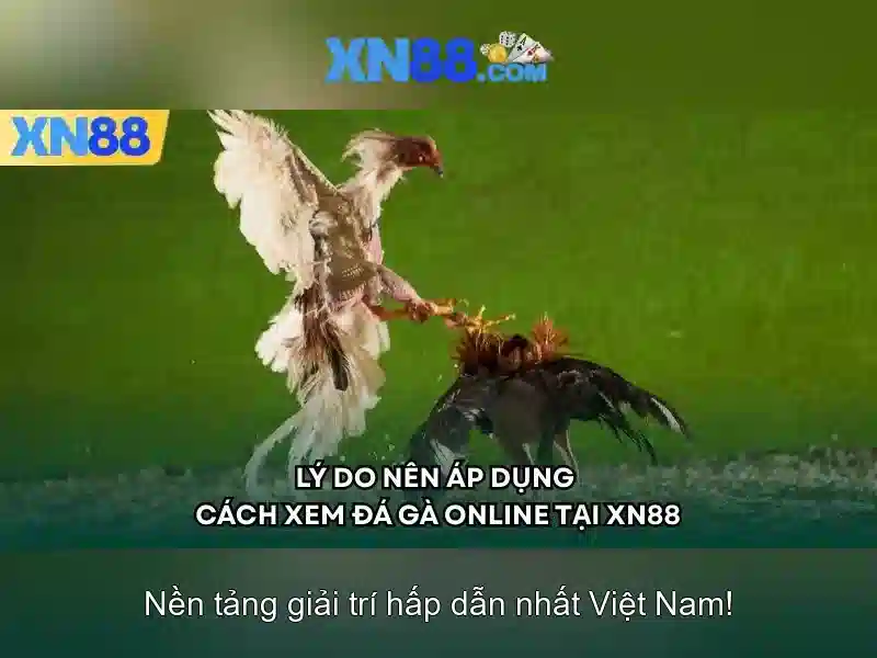 💎trang nhà cái khuyến mãi💎 💎trang nhà cái khuyến mãi💎