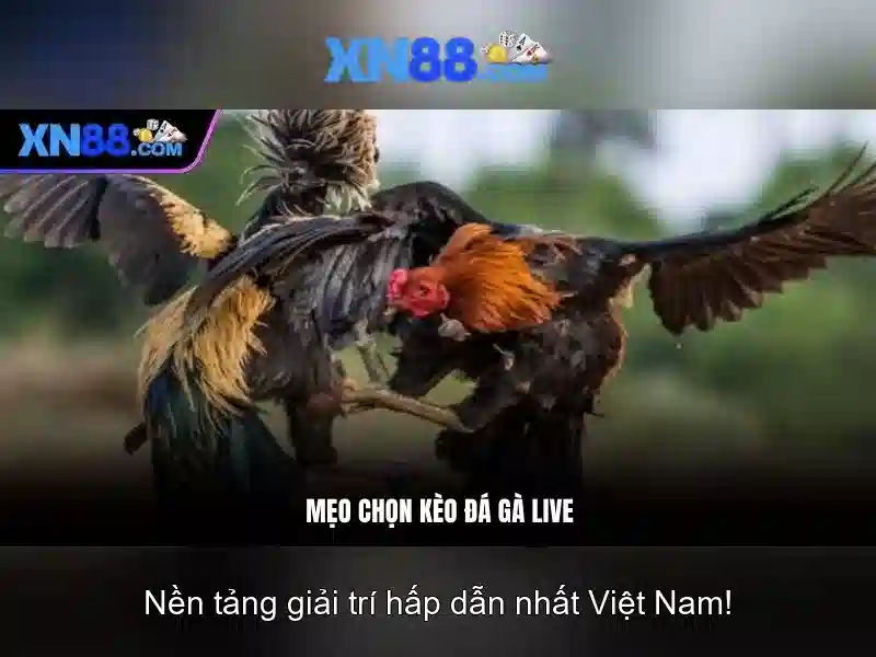 💎big red free slots💎 💎big red free slots💎