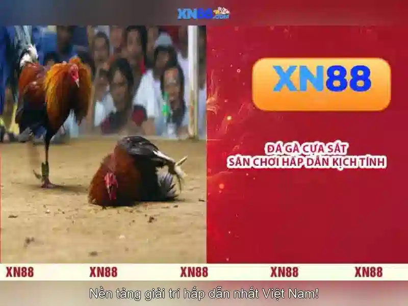 💎slots and bets💎 💎slots and bets💎