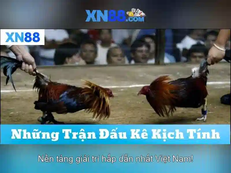 💎xn88 slot hack program xn88 apk download old version💎 💎xn88 slot hack program xn88 apk download old version💎